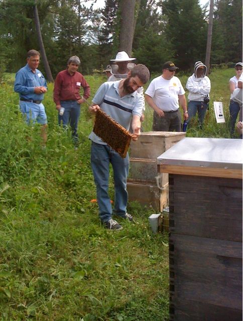Dean Stiglitz, co-author of The Complete Idiot's Guide to Beekeeping, commercial treatment-free beekeeper, and a most-natural teacher