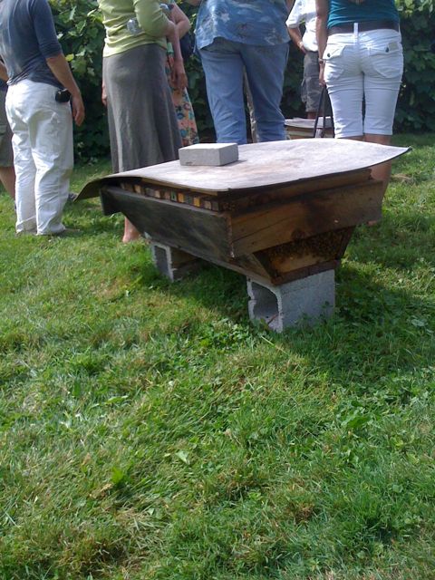 One of Sam Comfort's home-built top-bar hives